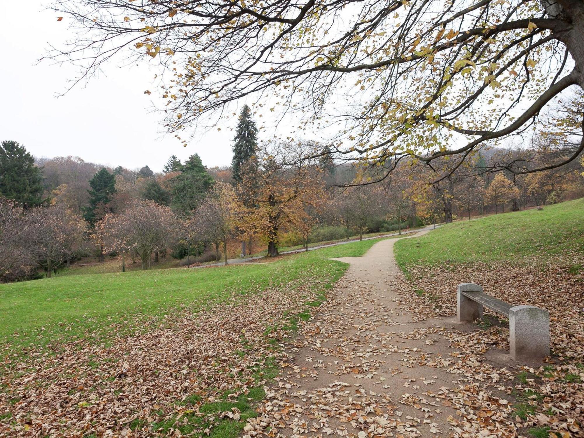 Beautiful Apartment In D Rnthal Near The Forest Voigtsdorf المظهر الخارجي الصورة